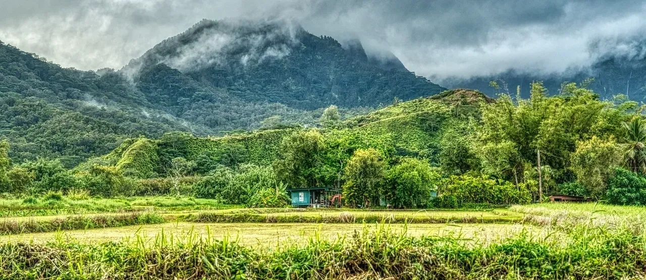 A green field with trees and mountains in the background