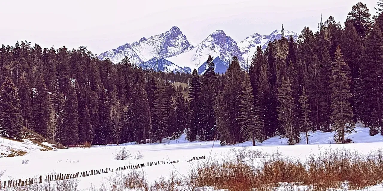 A snowy mountain range with trees in the foreground.